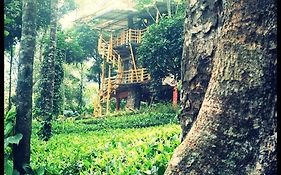 Treehouse In Munnar 3*
