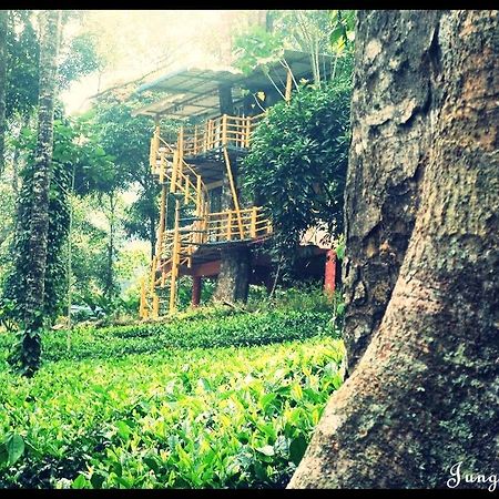Jungle Jive Tree House Munnar Exterior photo