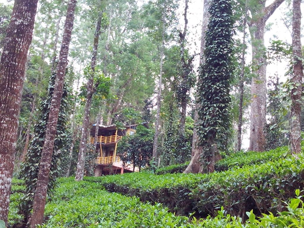 Jungle Jive Tree House Munnar Exterior photo