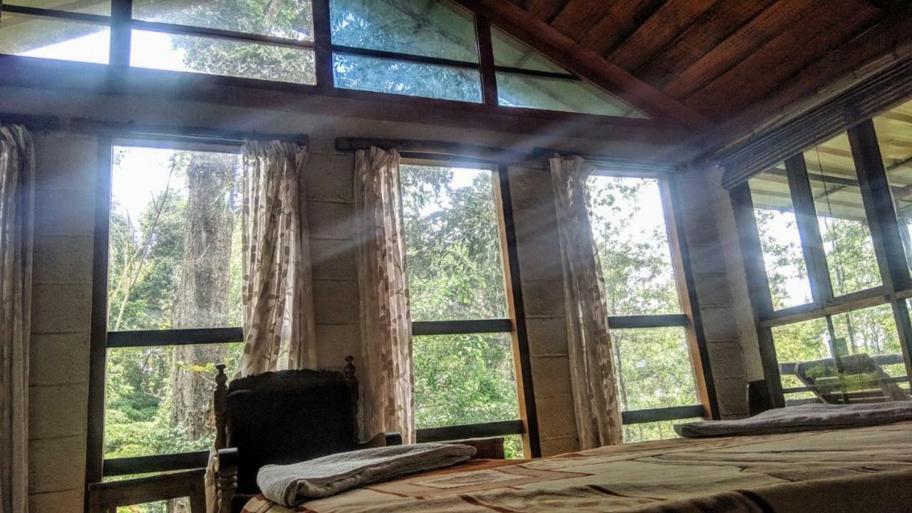 Jungle Jive Tree House Munnar Exterior photo
